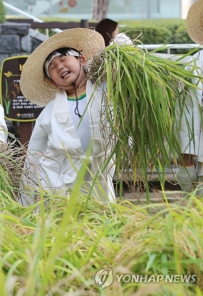 Joy of harvest Joy of harvest