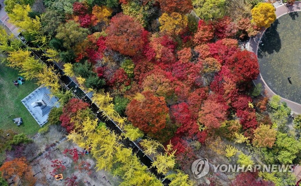 '울긋불긋 물든 가을'