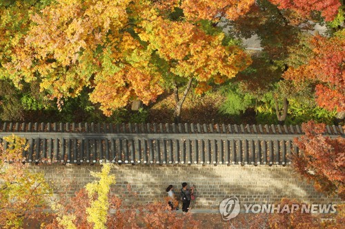 가을 오후의 산책