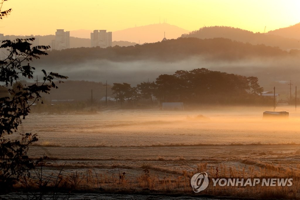 서리와 살얼음의 입동 들녘