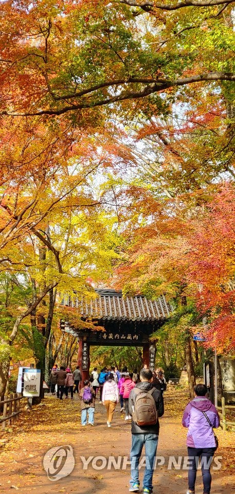 Autumn leaves on Mount Naejang Autumn leaves on Mount Naejang
