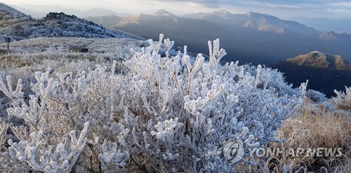무주 덕유산 첫 상고대