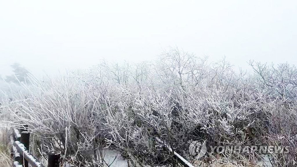 설악산 상고대