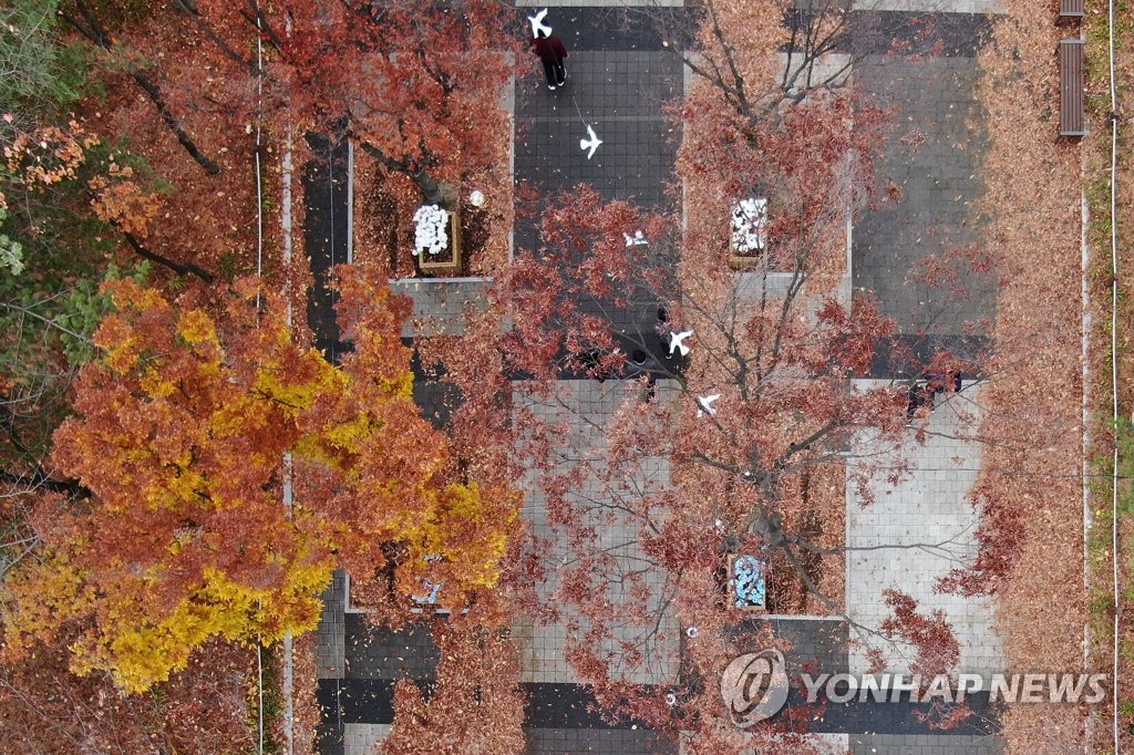 낙엽길 걸으며