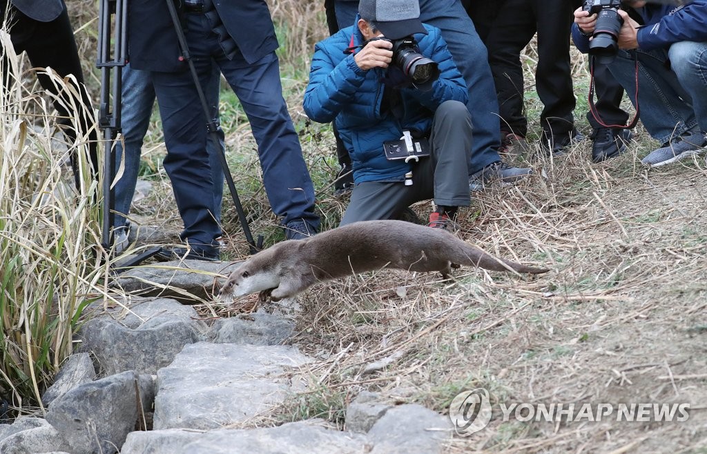 '다시 자연으로'