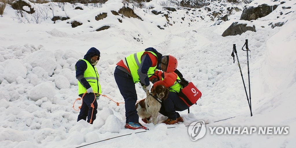 구조견과 함께 안나푸르나 눈사태 실종 지역 수색