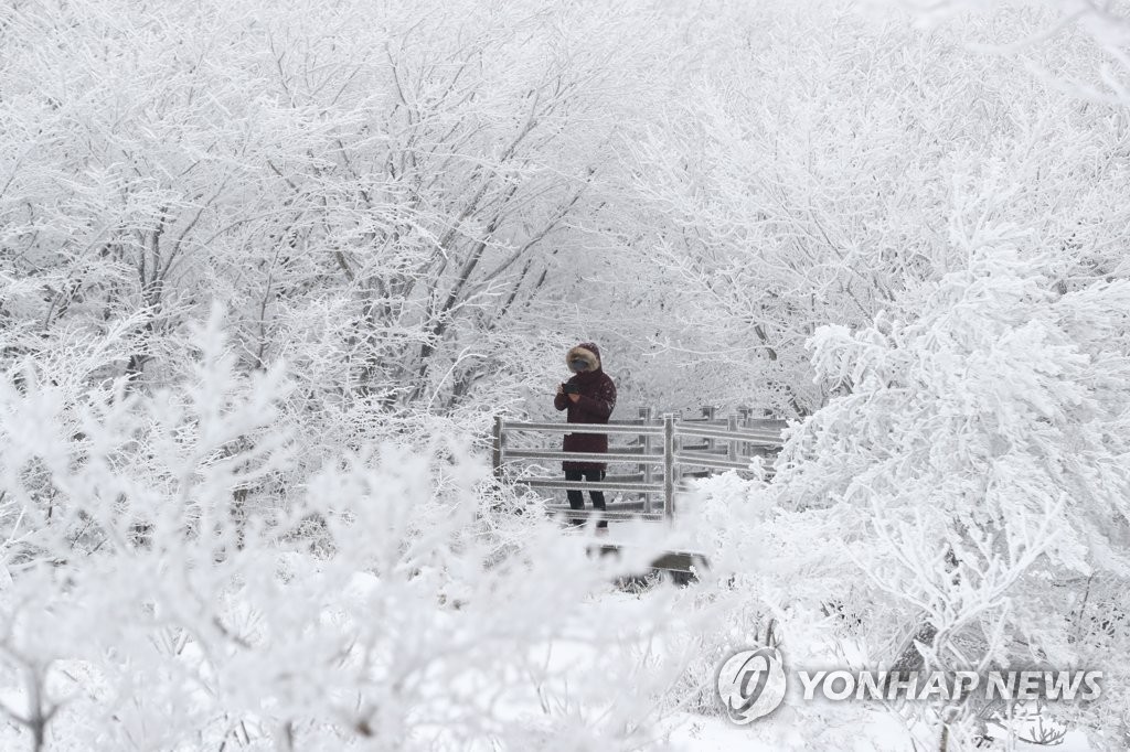 한라산 1100고지 습지의 겨울