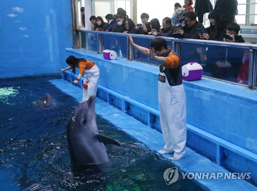 고래생태체험관에서 태어난 돌고래 첫 공개