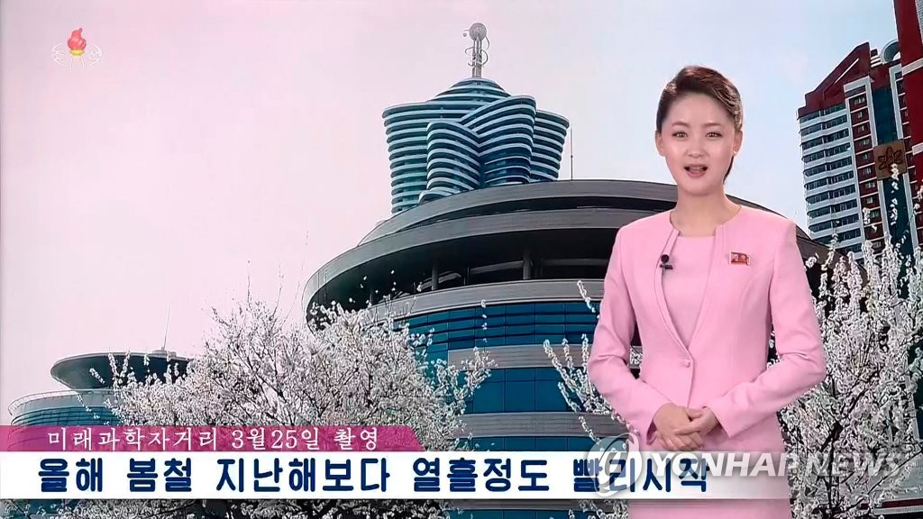 북한 평양에도 봄기운 '물씬'…"작년보다 열흘 빨라"