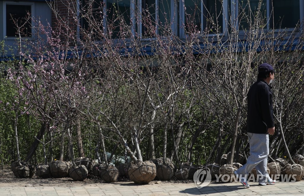 식목일에도 한산한 농원