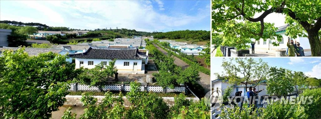 평양 형제산구역 주거지의 과일나무들