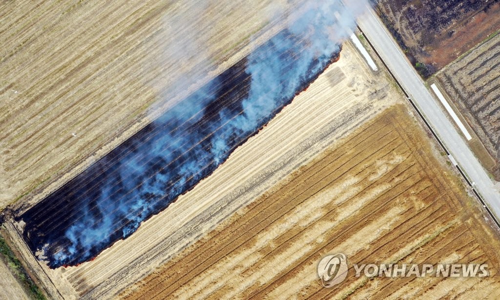보릿짚 태우기