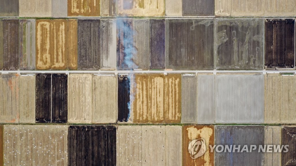 5월 농촌의 무늬