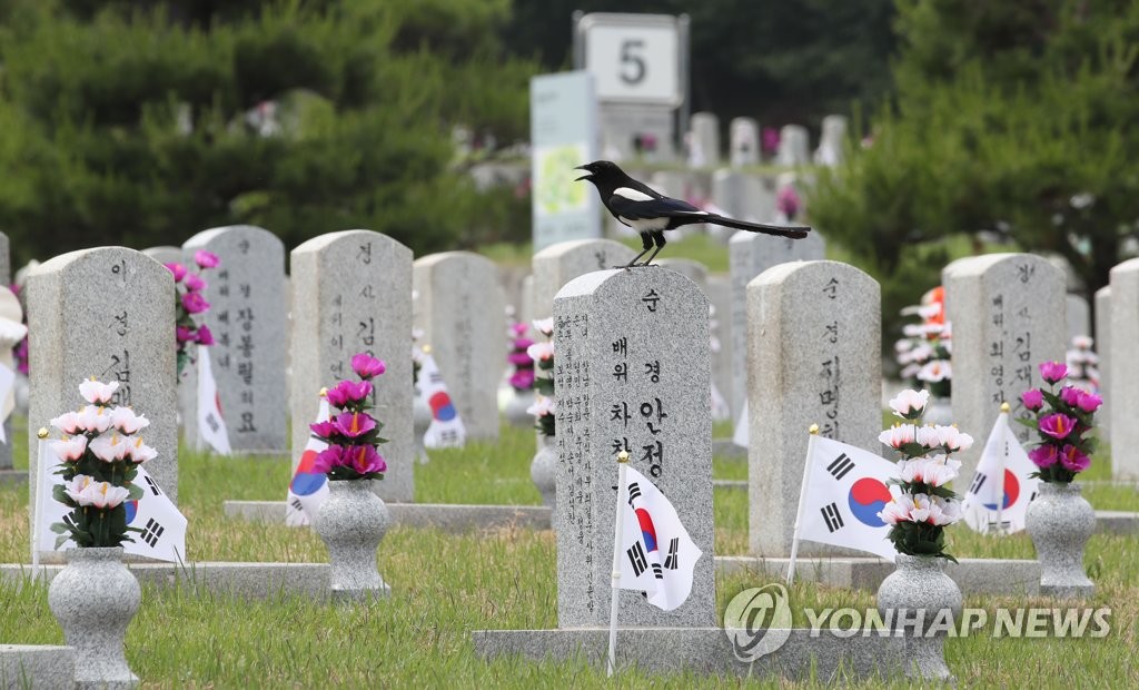 현충원 찾은 까치