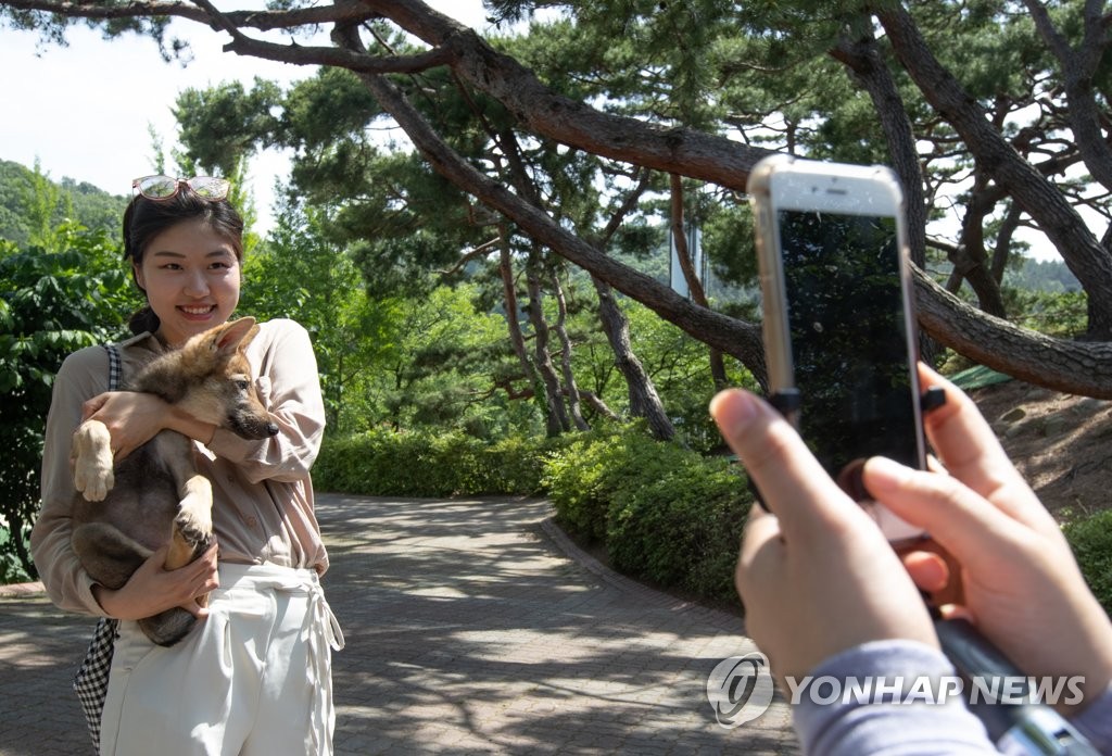 늑대와 함께 기념사진을