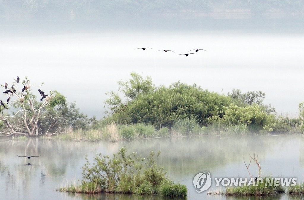 Una mañana en el río Soyang Una mañana en el río Soyang