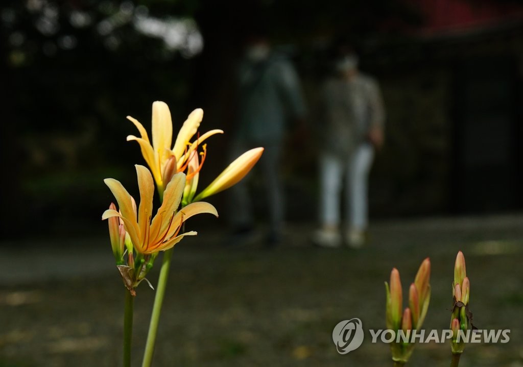 진주 등 경남 5곳 호우주의보 해제