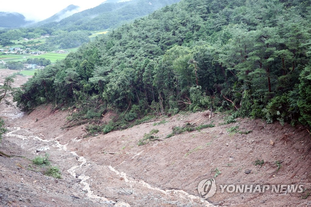 산사태로 쓰러진 수목
