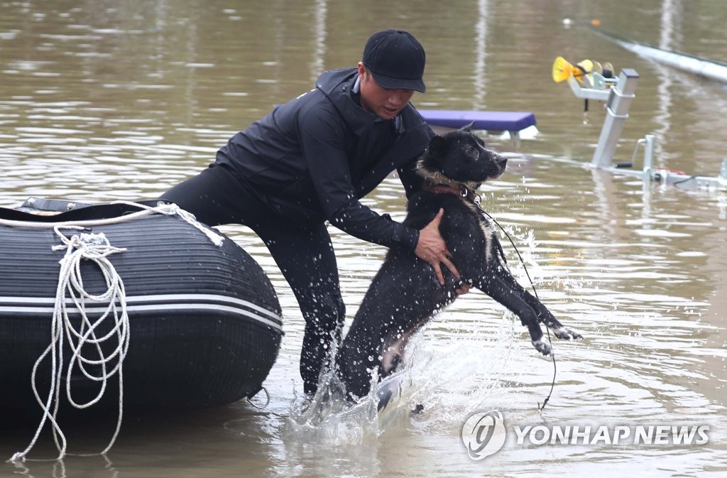 Dog rescued from flooded village Dog rescued from flooded village