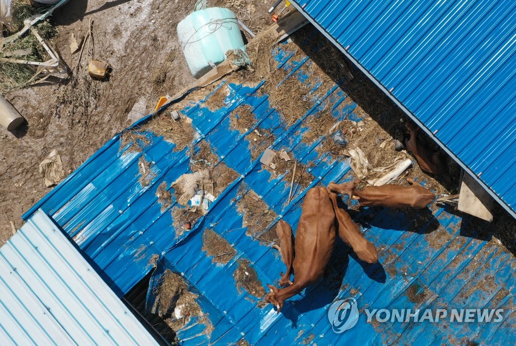 '어찌 내려가나'