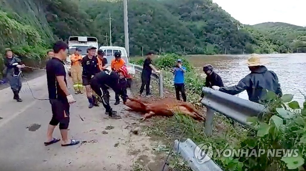 '힘들었 소'