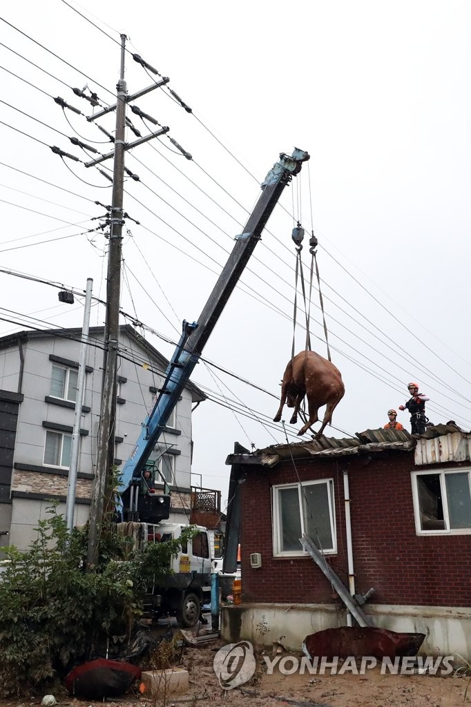 아슬아슬한 구조
