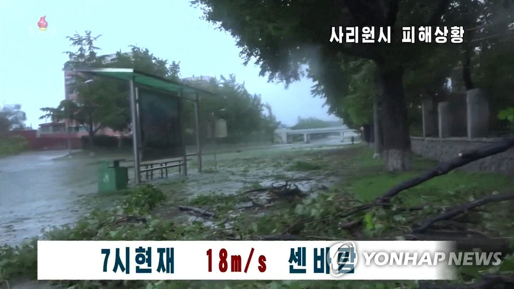 태풍 '바비'에 부러진 북한 사리원시 가로수들