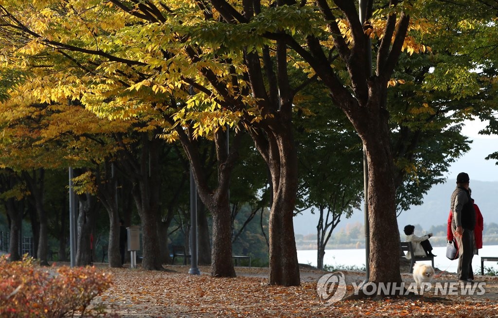 낙엽길 밟으며
