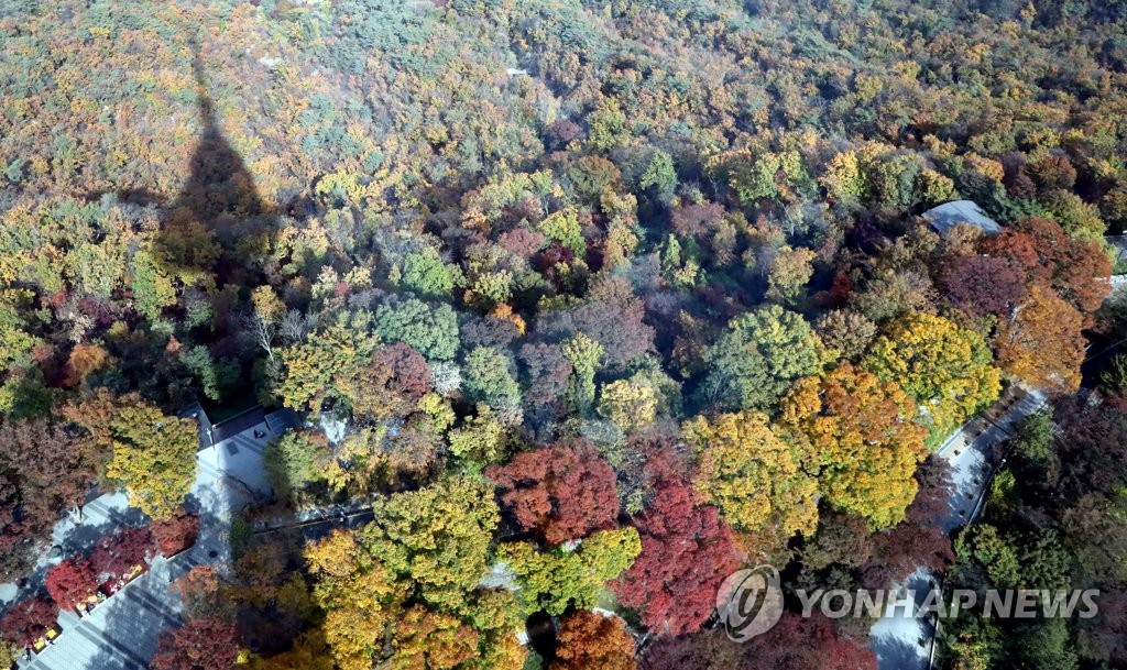 '형형색색'…가을 물드는 서울 남산