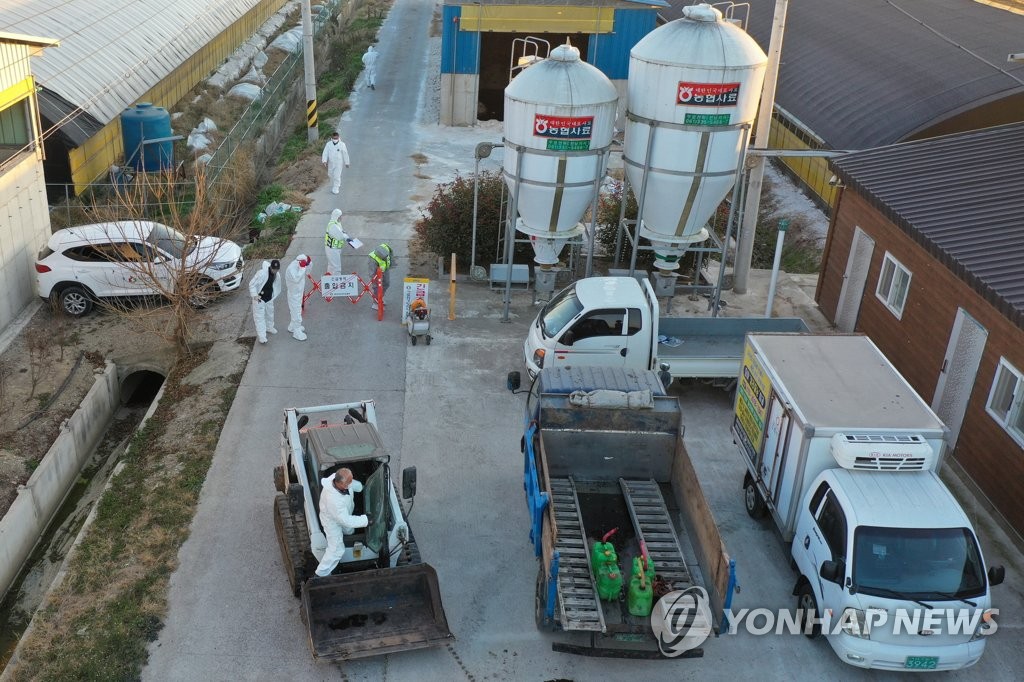 Quarantine officials prepare to cull ducks at a farm in Naju, 355 kilometers south of Seoul, on Dec. 9, 2020. (Yonhap)