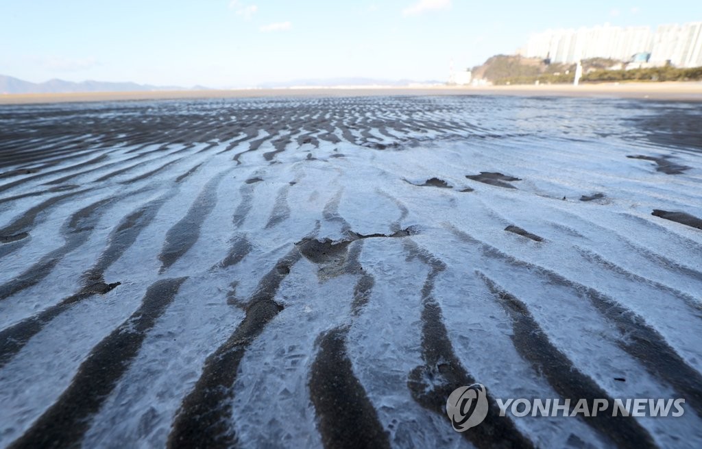 지난달 7일 한파에 부산 해안가가 꽁꽁 얼어붙은 모습