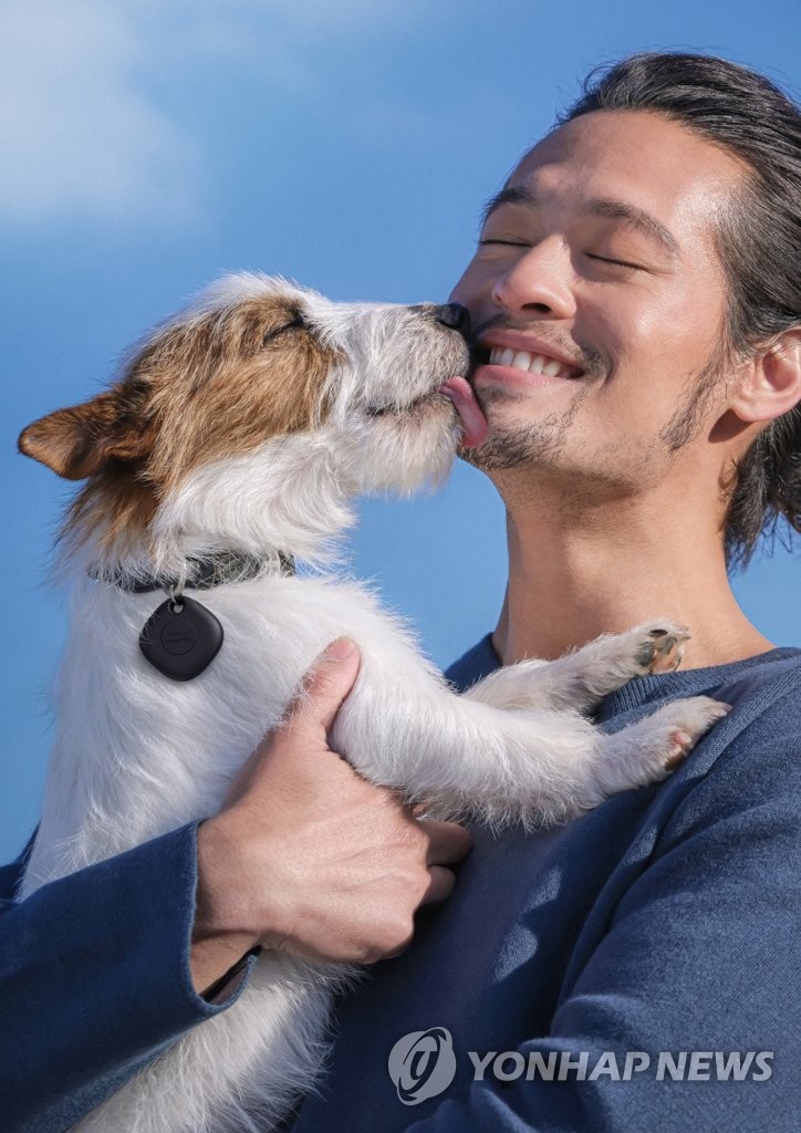 愛犬 迷子の心配なし 愛犬 迷子の心配なし