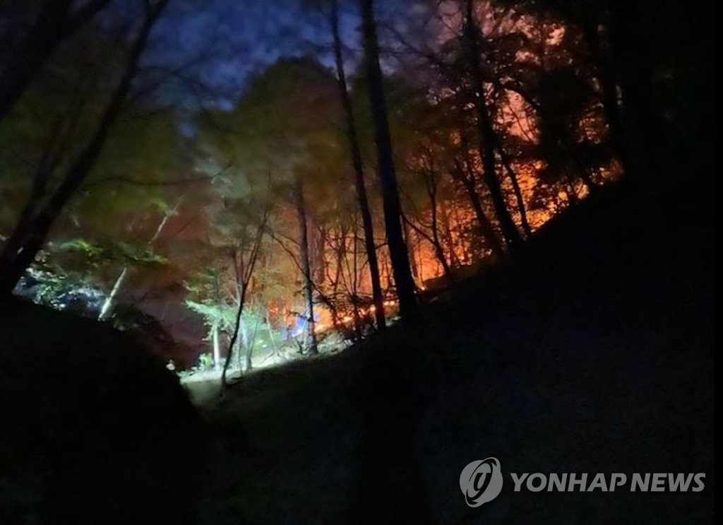 대전 유성구 산불 발생, 산림당국 진화 중