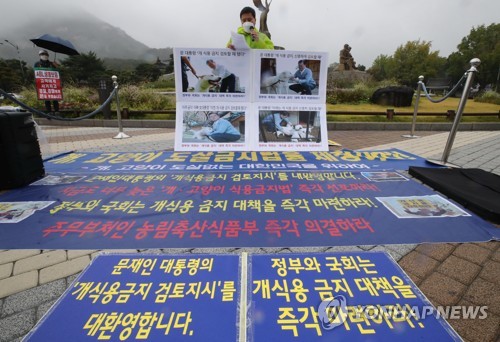 '개 식육 금지 대책 즉각 마련하라'