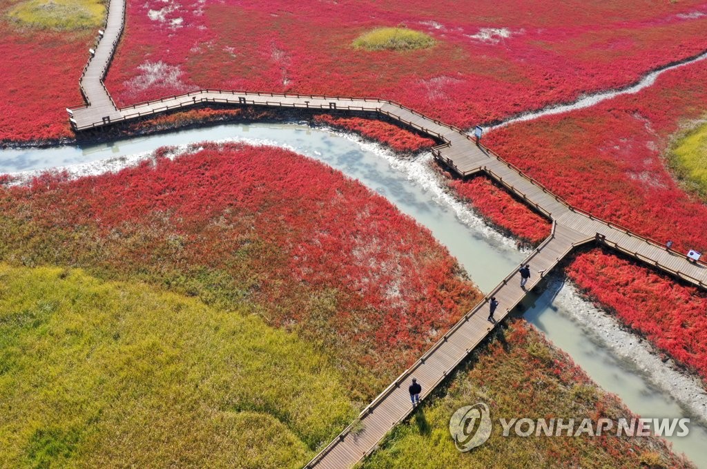 가을 갯벌 산책