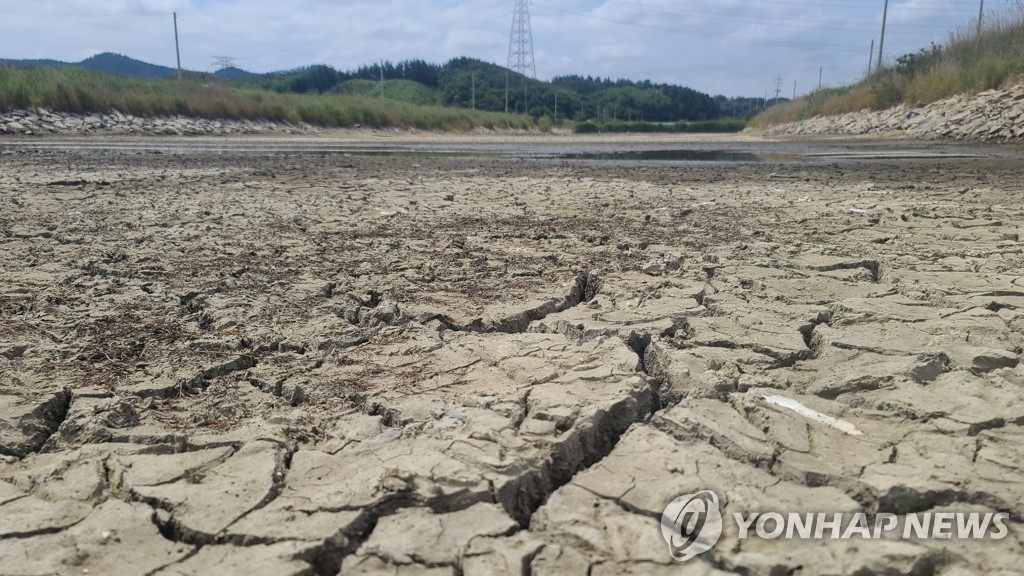 가뭄으로 바닥이 쩍쩍 갈라진 태안 간척지 수로