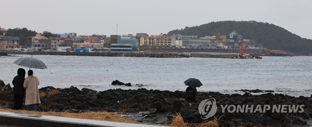 비 내리는 설날 제주