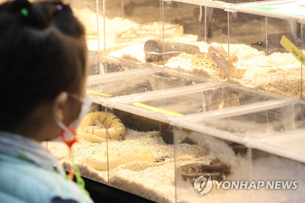 희귀반려동물이 궁금해