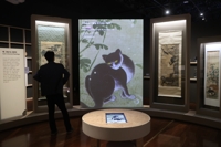 Exhibición sobre los gatos