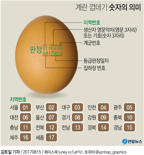 [그래픽] 계란 껍데기 숫자의 의미