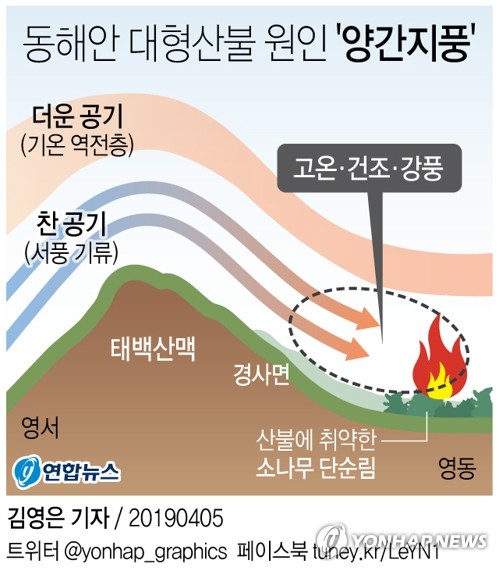 강원산불] '양간지풍' 불면 순식간에 초토화…대형산불 원인 | 연합뉴스