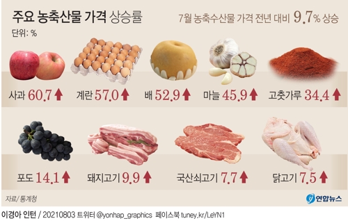 [그래픽] 주요 농축수산물 가격 상승률