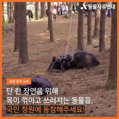 كيه بي إس تعتذر عن حادث سقوط حصان أثناء تصوير "لي بانغ-وون" - 1