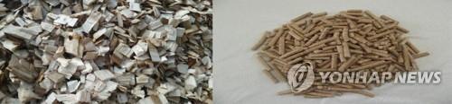 This undated file photo shows wood chips (L) and wood pellets. (Yonhap) 