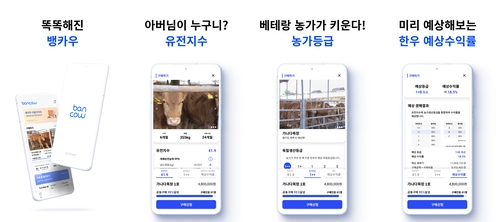 Bancow, a Korean beef investment platform, offers detailed information on calves purchased through a crowdfunding platform. (PHOTO NOT FOR SALE) (Yonhap)