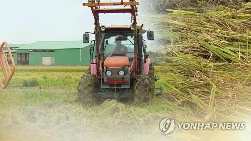 S. Korea to buy 450,000 tons of rice for reserves