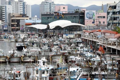 Fishing boats are docked at a port in Pohang, 374 kilometers southeast of Seoul, on Sept. 1, 2022, as the super strong Typhoon Hinnamnor approaches the Korean Peninsula. Hinnamnor is forecast to reach the sea 70 km south of Jeju's southern port city of Seogwipo on Sept. 6, according to the state weather agency. (Yonhap)