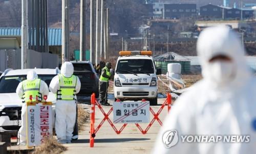 S. Korea launches intensive disinfection campaign against avian influenza
