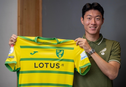 Norwich City new home kit! : r/Championship