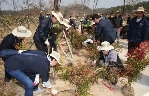 在日約３００人　故郷で植樹会＝韓国・慶尚南道